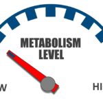 Take this quick quiz to access your metabolism