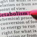 metabolism defined1